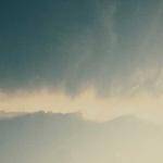 Amelie Gutmann Profile Picture