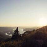 Rogelio King Profile Picture