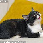 Rebeca Schimmel Profile Picture