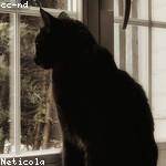 Elinor Weissnat Profile Picture