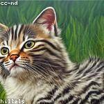 Milford Huel Profile Picture