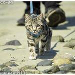 Keira Goldner Profile Picture