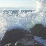 Otilia Herman Profile Picture