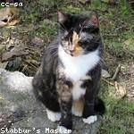 Phyllis Lakin Profile Picture