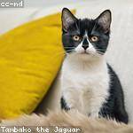 Laney Davis Profile Picture