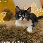 Margarita Hegmann Profile Picture