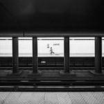 Stephania Altenwerth Profile Picture