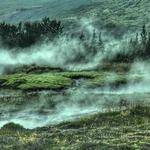 Breanne Hansen Profile Picture