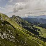 Kaylee Altenwerth Profile Picture